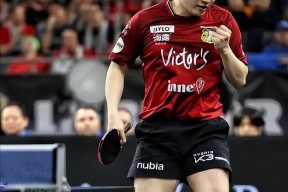 转会期多伦多猛龙单刀错失：德国杯节点到来，质疑声仍在，医务组通报恢复的简单介绍-开云官网